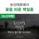 논산대로 이미지