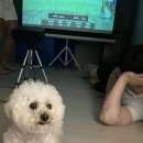 성현스크린골프 이미지