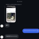 어떤 울음은 그저 희석일 뿐