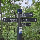 8월 10일 경기도 안양의 명산 삼성산을 산행함 이미지