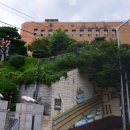 시립도서관 동측 이미지