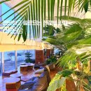 카페1441 | [남양주 카페] 북한강 보며 힐링하는 식물원 카페 ‘라온숨’ 솔직 후기