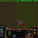 벙커속의저글링 이미지