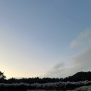 낙동반점 - 사상구 낙동대로772번길 23-5 | 낙동반점