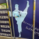 용인대스타태권도 이미지