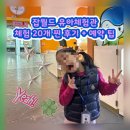 크레인 마켓 | 잡월드 어린이체험관 분당 어린이 체험 / 체험 20개 후기 및 예약 꿀팁 ⭐️