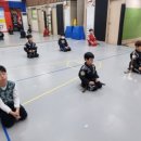 비연무예태권도 이미지