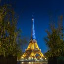 꿈을꾸는행정사사무소 이미지