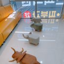연경소아청소년과의원 이미지