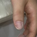 미슈네일