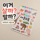 터치 - 원주시 | 터치터치 사운드북 내돈내산 후기, 돌아기 반응은? 살까 말까?