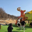 석정사슴 이미지