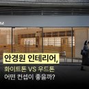 화이트안경원 티스토리