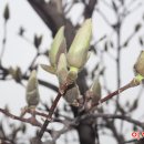 목련쉼터 이미지