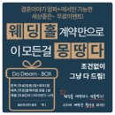 알파플러스 이미지