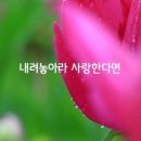 사랑한다면