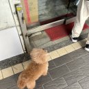 [대만/타이베이 여행 Day4] 대만식 아침식사, 기념품, 카발란, 총경비 정리