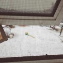 오즈 키즈 풀빌라 펜션 이미지