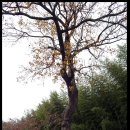 뚜부카페 이미지