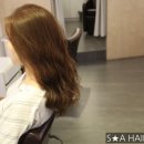에스에이인터내셔널 이미지