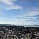 바당쿰다 이미지