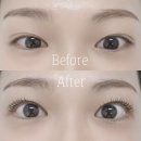 수원시 팔달구 효원로 | 수원 매교동 매교역 속눈썹펌 잘하는곳 유지력 좋은 슈슈뷰티 방문 후기