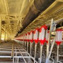 삼우농장 이미지