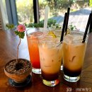 경남 창녕 여행 우포늪 근처 카페 cafe 줄풀 탐방기