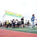 대구대학교 서문 이미지