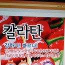 덕곡우체국 | 2019년고추묘판매(대기농장)고추모종판매