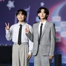 잔나비
