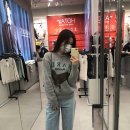 그레이(Grey) 이미지