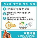 반티엔야오카오위