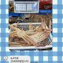정도물산