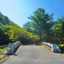 고산자연휴양림 이미지