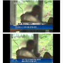 죽지 못해 살고있다는 음주 뺑소니 가해자 이미지