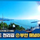 상록해수욕장 네이버블로그