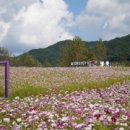 허브밸리(암석원) 이미지