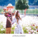 (주)호텔아리나 이미지