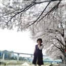 정원여인숙 이미지