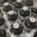 박창용 태권도 이미지