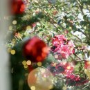 남원읍-104 이미지