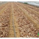 신가네농장 이미지