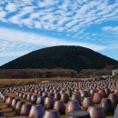 제주파도소리와 돌공원 이미지