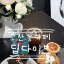 중앙 리베로 오피스텔 | [안산] 고잔동카페 ❝딥다이브❞ 후기 | 안산중앙동홀케이크