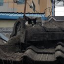 죽치경로당 이미지