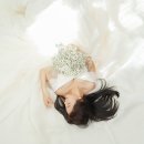 [공지] 모스앤코튼 100만원으로 스튜디오, 야외, 야간 스냅 한번에 끝낸 후기 + 7만원 할인