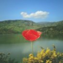 정확한행정사 이미지