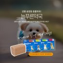 늘푸른약국 이미지