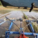 비석농장 이미지